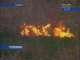 В Приангарье действуют 7 лесных пожаров