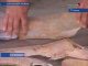 «Привет из доисторического прошлого» найден в Аларском районе