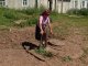 Жители Коновалова надеются, что водовод в их селе все же достроят