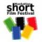 В Иркутске пройдет XII Манхэттенский фестиваль короткометражного кино
