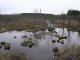Уборка болот в Ново-Ленино