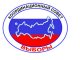 В Иркутске открылась горячая линия Российского фонда свободных выборов