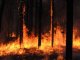 В Приангарье в сентябре 2009 года увеличилось число пожаров