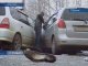 В крупном ДТП по улице Ширямова погибла женщина-водитель