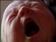 Тело новорожденного малыша обнаружили в лесу города Черемхово