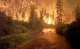 ЧС в Иркутской области: общая площадь лесных пожаров в регионе в этом году три раза превышает прошлогодние данные