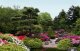 Архитекторы предлагают создать в Иркутске самый северный в мире Японский сад