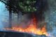 Иркутская область борется с лесными пожарами, охватившими 41 гектар террито ...