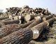 50% иркутских лесопромышленников и лесоэкспортеров обречены на банкроство
