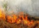 В список самых пожароопасных территорий страны входит Иркутская область